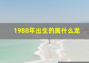 1988年出生的属什么龙