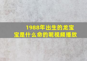 1988年出生的龙宝宝是什么命的呢视频播放