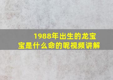 1988年出生的龙宝宝是什么命的呢视频讲解