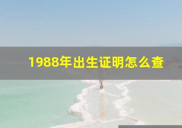 1988年出生证明怎么查