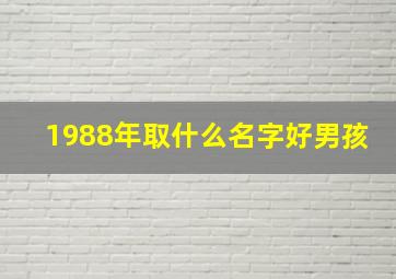 1988年取什么名字好男孩