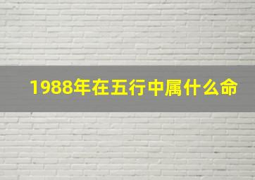 1988年在五行中属什么命