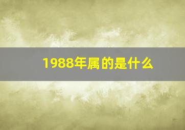 1988年属的是什么