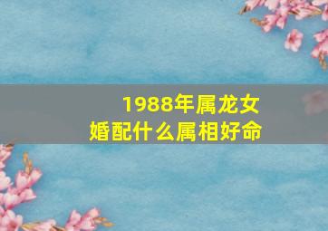 1988年属龙女婚配什么属相好命