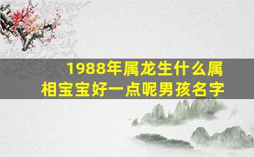 1988年属龙生什么属相宝宝好一点呢男孩名字