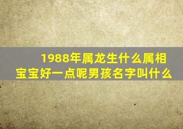 1988年属龙生什么属相宝宝好一点呢男孩名字叫什么