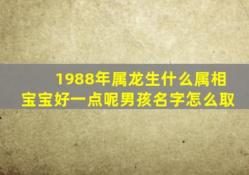 1988年属龙生什么属相宝宝好一点呢男孩名字怎么取