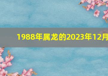 1988年属龙的2023年12月