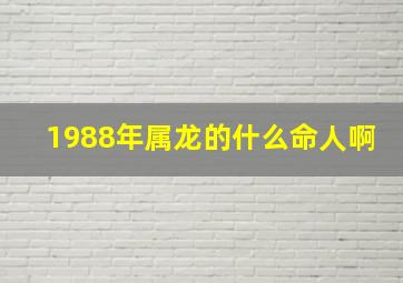 1988年属龙的什么命人啊