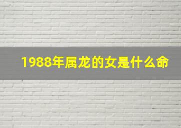 1988年属龙的女是什么命