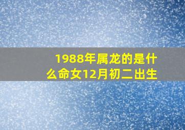 1988年属龙的是什么命女12月初二出生