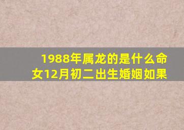 1988年属龙的是什么命女12月初二出生婚姻如果