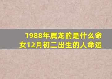 1988年属龙的是什么命女12月初二出生的人命运