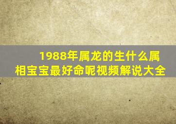 1988年属龙的生什么属相宝宝最好命呢视频解说大全