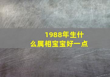 1988年生什么属相宝宝好一点