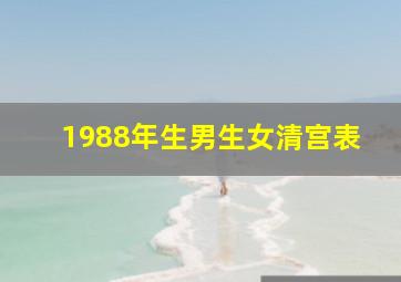 1988年生男生女清宫表