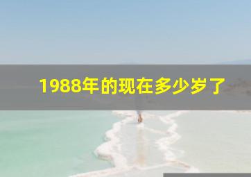 1988年的现在多少岁了