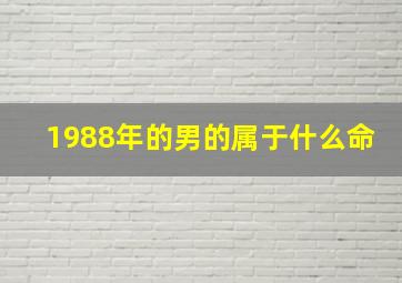 1988年的男的属于什么命