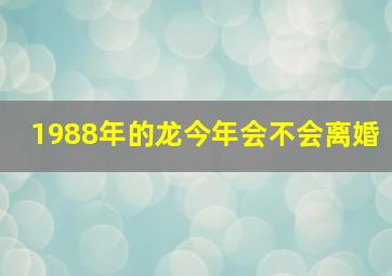 1988年的龙今年会不会离婚