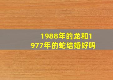 1988年的龙和1977年的蛇结婚好吗