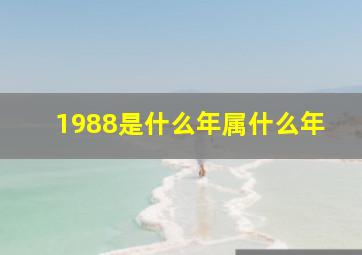 1988是什么年属什么年