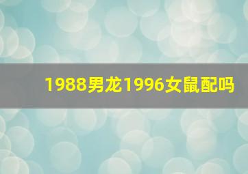 1988男龙1996女鼠配吗