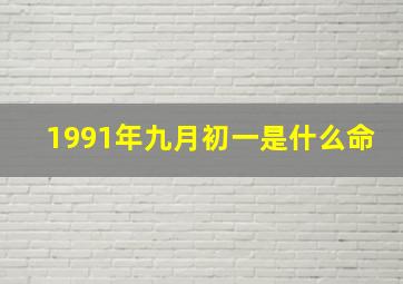 1991年九月初一是什么命