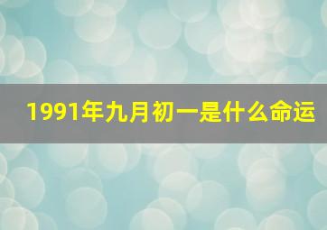 1991年九月初一是什么命运