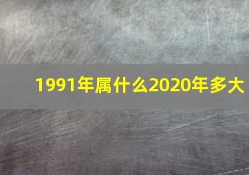 1991年属什么2020年多大