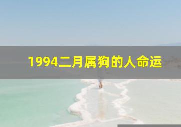 1994二月属狗的人命运