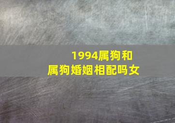 1994属狗和属狗婚姻相配吗女