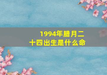 1994年腊月二十四出生是什么命