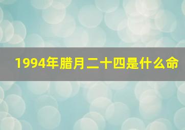 1994年腊月二十四是什么命