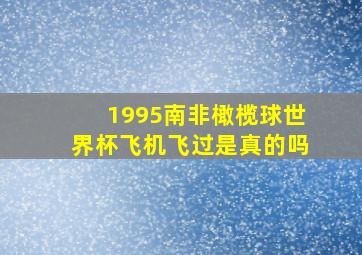 1995南非橄榄球世界杯飞机飞过是真的吗