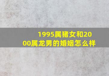 1995属猪女和2000属龙男的婚姻怎么样