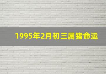 1995年2月初三属猪命运