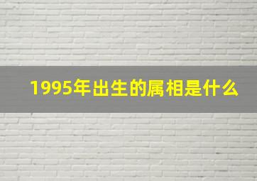 1995年出生的属相是什么