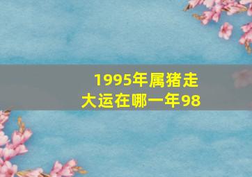 1995年属猪走大运在哪一年98