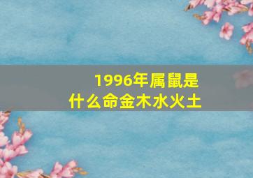 1996年属鼠是什么命金木水火土