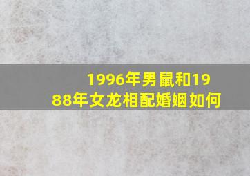 1996年男鼠和1988年女龙相配婚姻如何