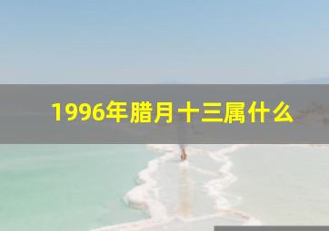 1996年腊月十三属什么