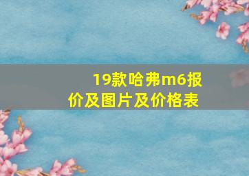 19款哈弗m6报价及图片及价格表