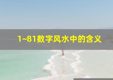 1~81数字风水中的含义