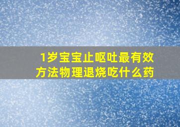 1岁宝宝止呕吐最有效方法物理退烧吃什么药