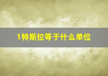 1特斯拉等于什么单位