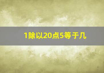 1除以20点5等于几