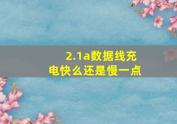 2.1a数据线充电快么还是慢一点