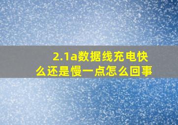 2.1a数据线充电快么还是慢一点怎么回事