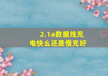 2.1a数据线充电快么还是慢充好