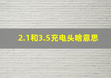 2.1和3.5充电头啥意思